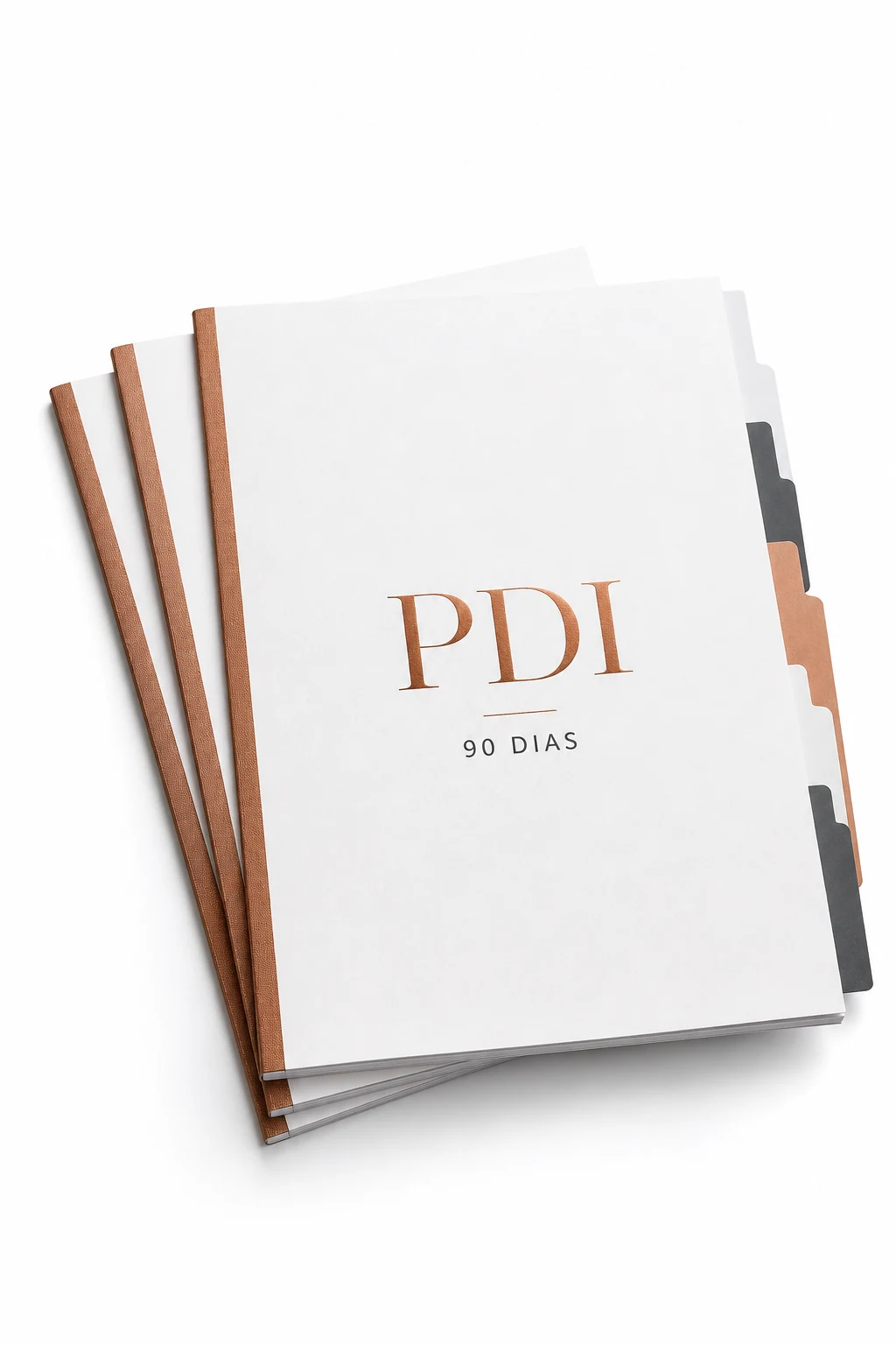 Mockup do Plano de Desenvolvimento Individual para 90 dias